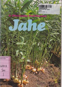 Image of Jahe