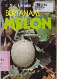 Image of Bertanam Melon