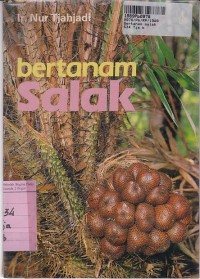 Image of Bertanam Salak