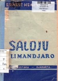 Image of Saldju Kilimanjaro