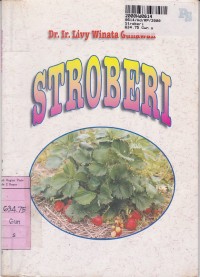 Image of Stroberi