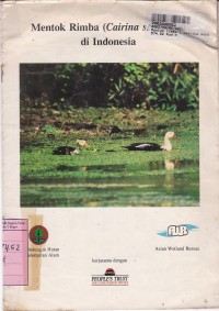 Image of Mentok Rimba [Cairina Scutulata] di Indonesia