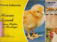 Image of Kebesaran Ilahi di Alam Semesta=Hewan Ternak: Ayam Petelur & Hasilnya