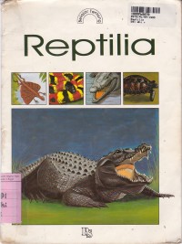 Image of Belajar Tentang: Reptilia