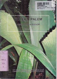 Image of Seri Koleksi Kebun Raya: Koleksi Palem Kebun Raya Bogor