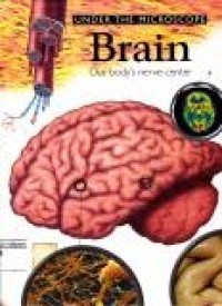 Image of Under the Microscope: Brain=Our Body's Nerve Center