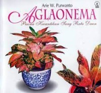 Image of Aglaonema: Pesona Kecantikan Sang Ratu Daun