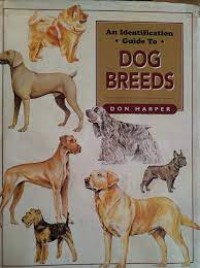 Image of An Identification Guide to Dog Breeds