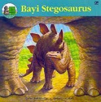 Image of Bayi Stegosaurus