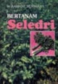 Image of Bertanam Seledri