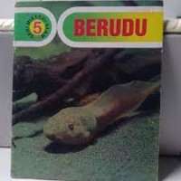 Image of Berudu