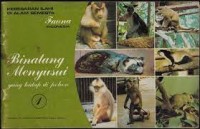 Image of Binatang Menyusui yang Hidup di Pohon [1]