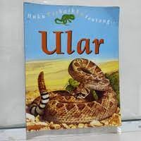 Image of Buku Terbaikku Tentang Ular
