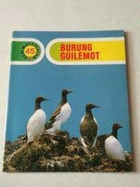 Image of Burung Guilemot