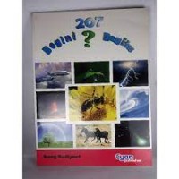 Image of 207 Begini Begitu