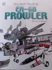 Image of EA - 6B Prowler