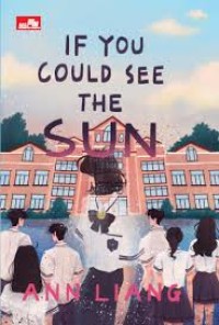 Image of If You Could See the Sun
