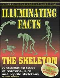Image of Illuminating Facts : The Skeleton