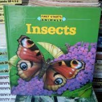 Image of Insects
