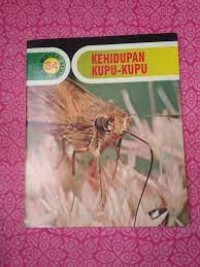 Image of Kehidupan Kupu-kupu