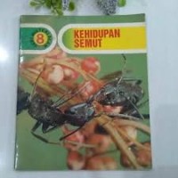 Image of Kehidupan Semut