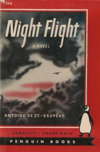 Image of Night Flight