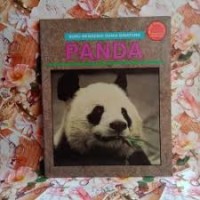 Image of Panda