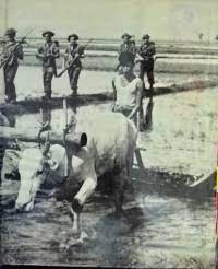 Image of Perang Dunia II : Cina-Birma-India