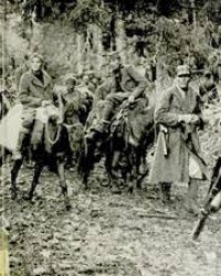 Image of Perang Dunia II : Partisan dan Gerilyawan