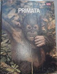 Image of Primata
