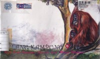 Image of Pulang Kampung : Kisah Hidup Oranrutan 
