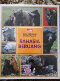 Image of Rahasia Beruang