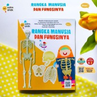 Image of Rangka Manusia dan Fungsinya