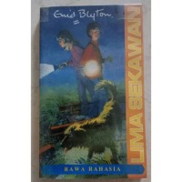 Image of Lima Sekawan: Rawa Rahasia
