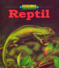 Image of Reptil
