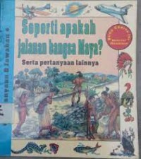 Image of Seperti Apakah Jalanan Bangsa Maya?