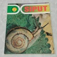 Image of Siput