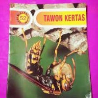Image of Tawon Kertas