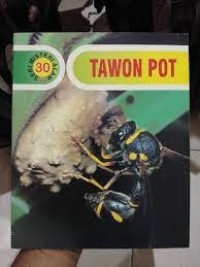 Image of Tawon Pot