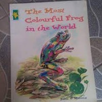 Image of The Most Colourful Frog in the World