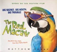 Image of The Real Macaw