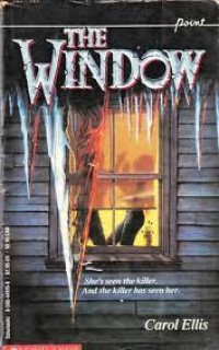 Image of The Window