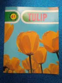 Image of Tulip