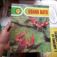 Image of Udang Batu