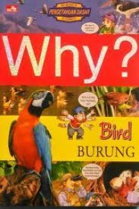 Image of Why? Burung